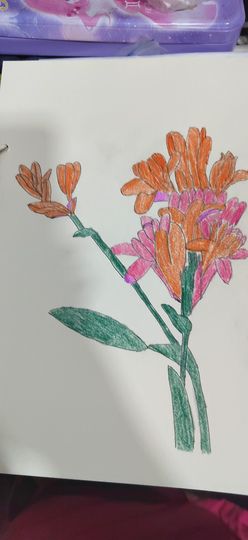 钟铃tina主播照片