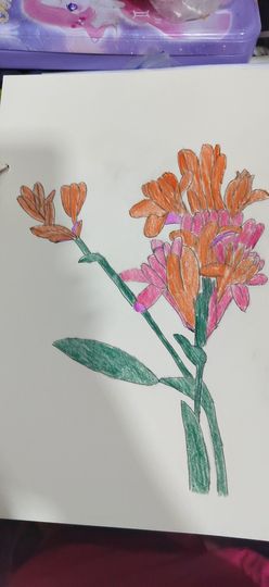 钟铃tina主播照片