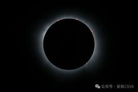 2025不好过主播照片
