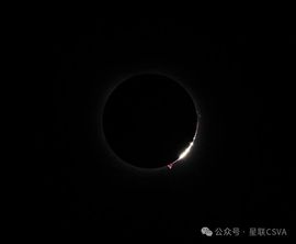 2025不好过主播照片