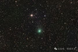 2025不好过主播照片