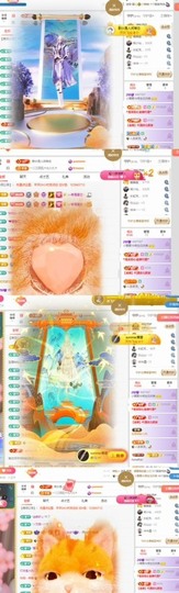 北家黄黄黄.主播照片