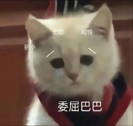 董贺我围观哥帝君啦的图片