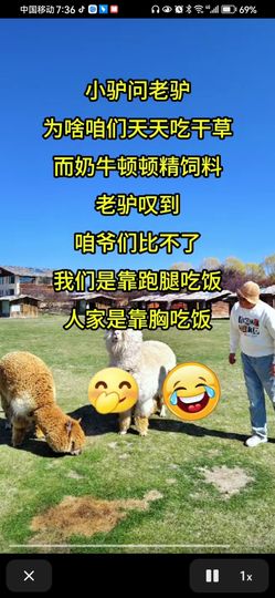 丑小鸭💞愿有一束光主播照片
