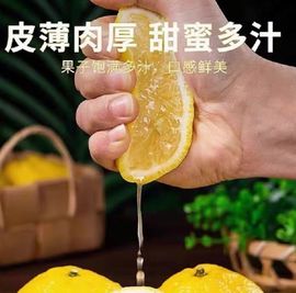 嘉瀚苏静好休息的图片