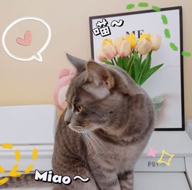 阳阳💕今晚见主播照片