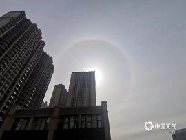 2025不好过主播照片