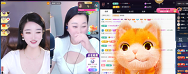 窦窦，家里有事休息了主播照片
