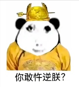 大星之卡比主播照片