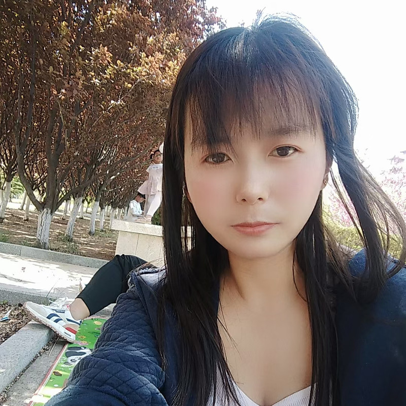 安心货运海报