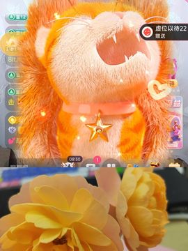 婷婷💕感恩有你陪伴主播照片