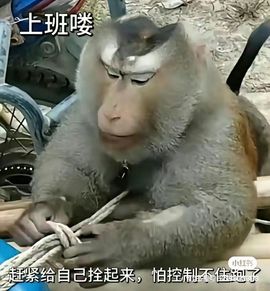维维🧚‍♂️主播照片