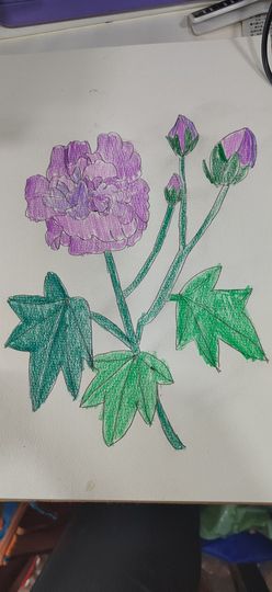 钟铃tina主播照片