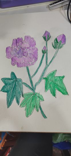 钟铃tina主播照片