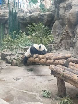 惯宝✨加油主播照片