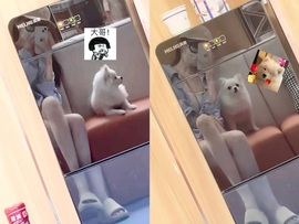 洋子～晚点见主播照片