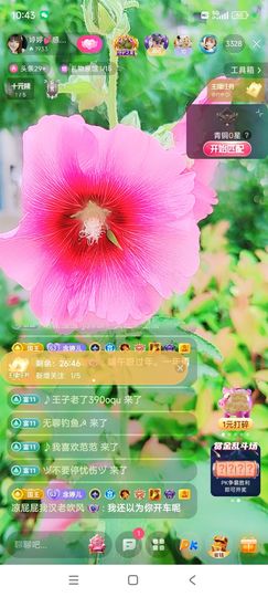 婷婷💕求过月底任务主播照片