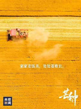 2025不好过主播照片