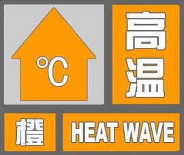 2025不好过主播照片