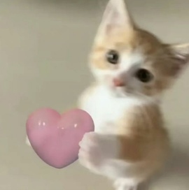 小雪碧💓的图片