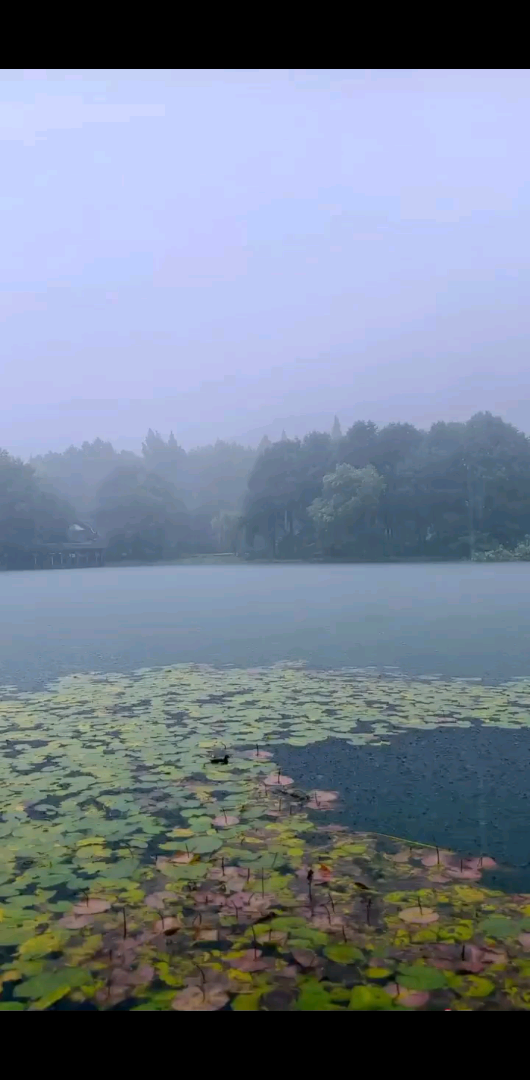 静听大自然的声音