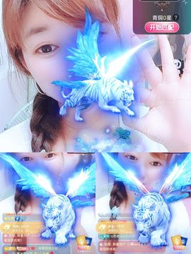 婷婷💕感恩有你陪伴主播照片