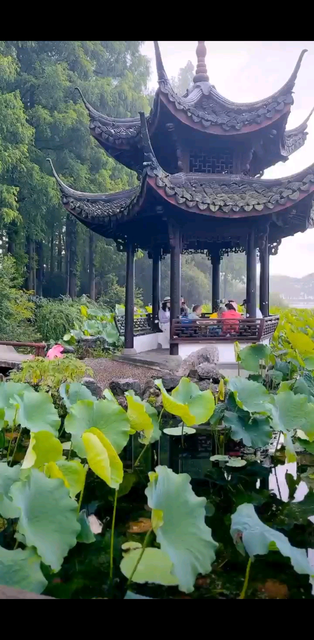 天青色等烟雨