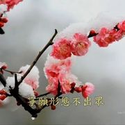 一秋风雨敬桑田的头像