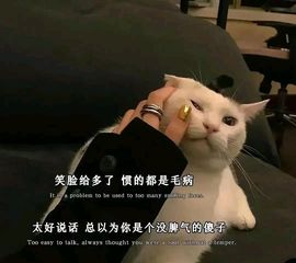 如初🎏欲知，且试主播照片
