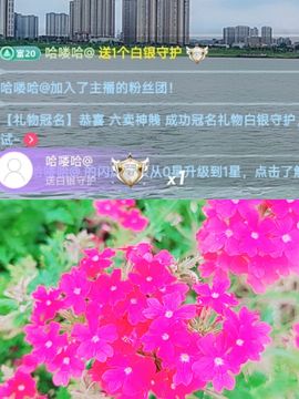 婷婷💕感恩有你陪伴主播照片