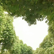 蹭歌而已