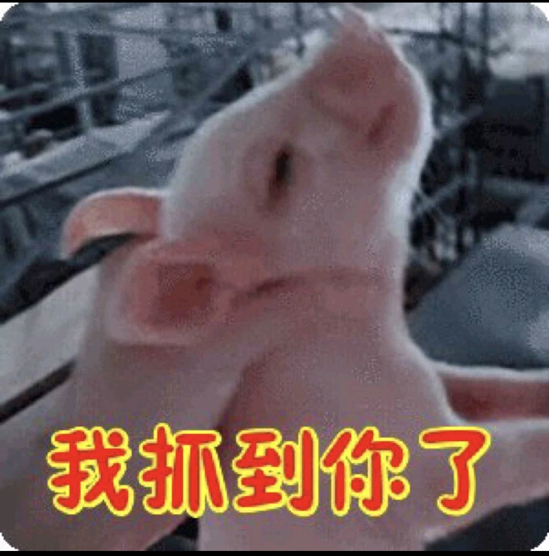 愛財愛己的主播照片