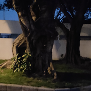 封心，惜缘海报