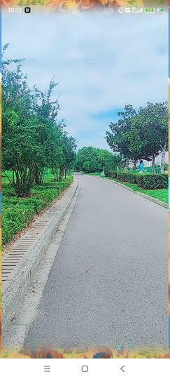 婷婷💕感恩有你陪伴主播照片