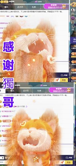 金麒麟安静唱歌🎤主播照片