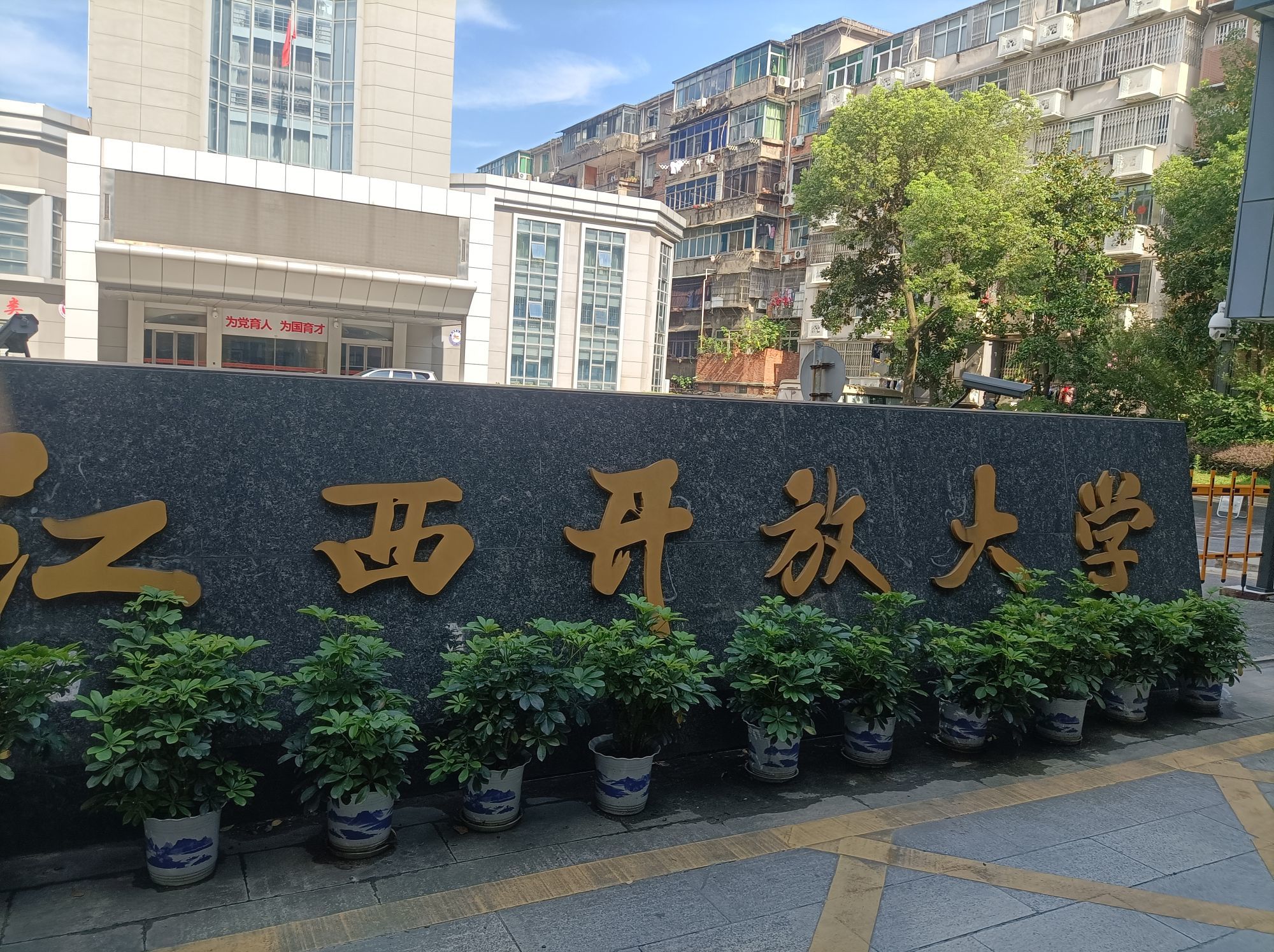 艾琳小宝贝的图片