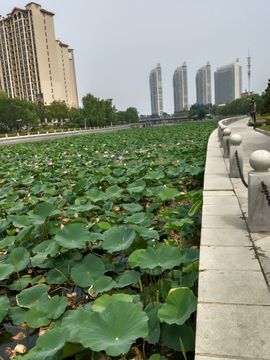 夕阳霞映互悦开心主播照片