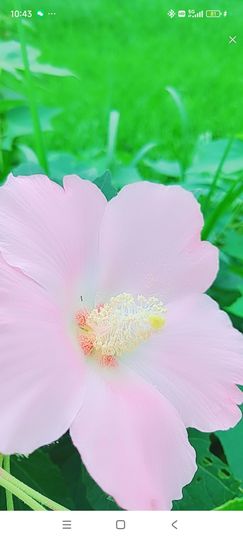 婷婷💕感恩有你陪伴主播照片