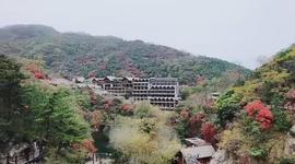 鹫岭云深的图片