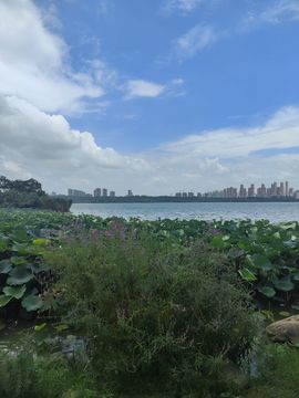 婷婷💕感恩有你陪伴主播照片