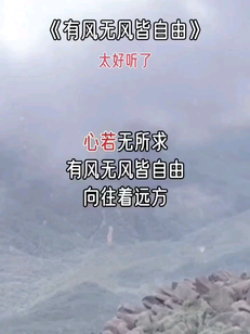 有风无风皆自由