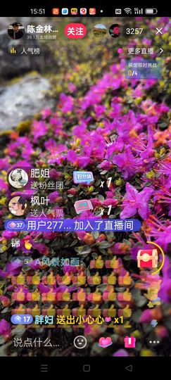 无聊听歌🍀蛇年好运主播照片