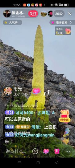 无聊听歌🍀蛇年好运主播照片