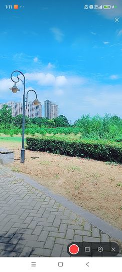 婷婷💕感恩有你陪伴的图片