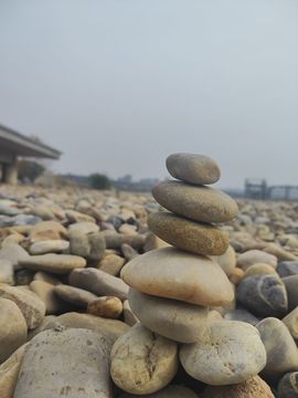 婷婷💕感恩有你陪伴主播照片