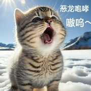 待你^O^如初见的用户头像