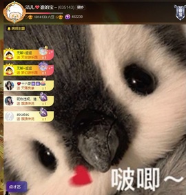 洁儿宝宝~主播照片