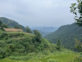 橘橘~休息主播照片