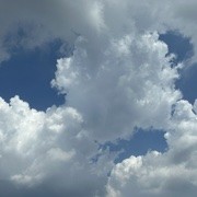 路野仙踪。的头像