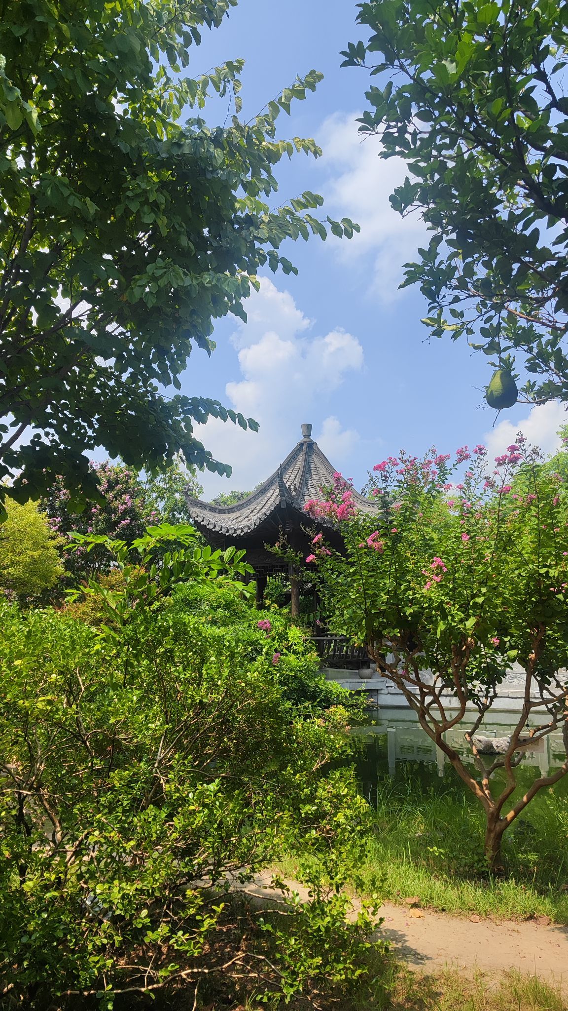 婷婷💕感恩有你陪伴的图片
